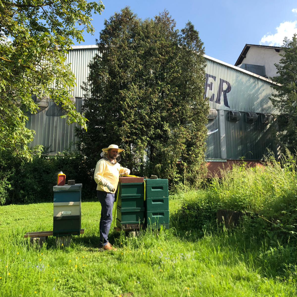 Imker steht bei Bienenstöcken auf einer Wiese neben Rhenser Gebäude