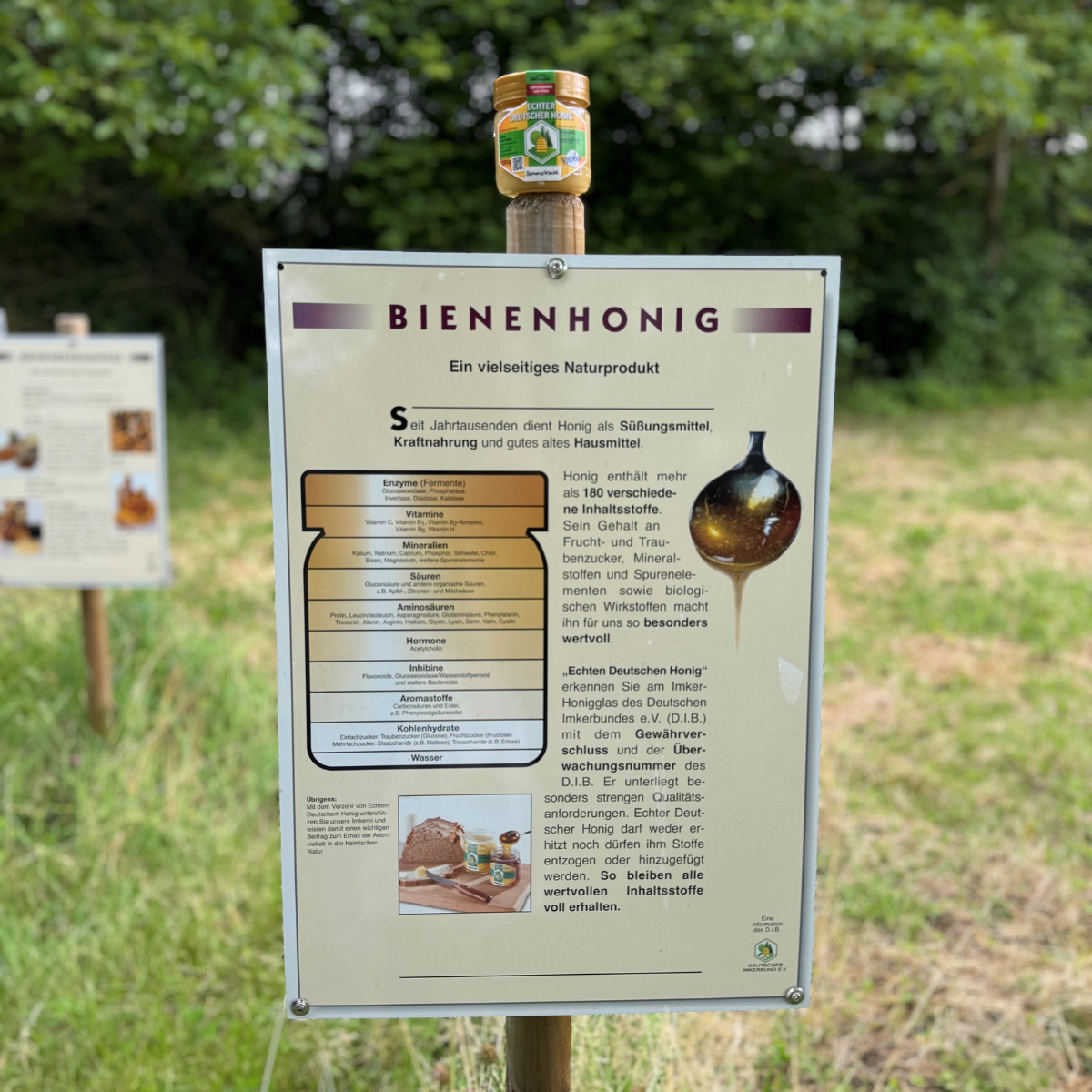 Infotafel zu Bienenhonig mit Honigglas im Grünen