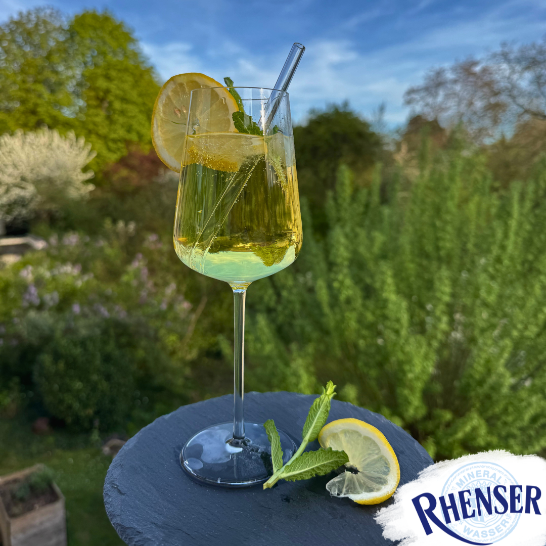 Glas mit spritzigem Zitronen-Minz-Getränk auf einem Tisch im Garten, dekoriert mit Zitronenscheiben und Minze vor unscharfem Grün im Hintergrund.