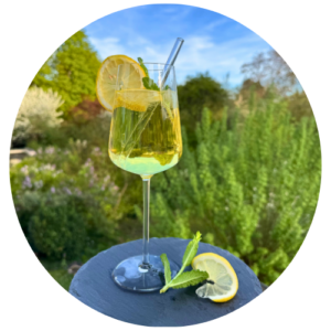Glas mit spritzigem Zitronen-Minz-Getränk auf einem Tisch im Garten, dekoriert mit Zitronenscheiben und Minze vor unscharfem Grün im Hintergrund.